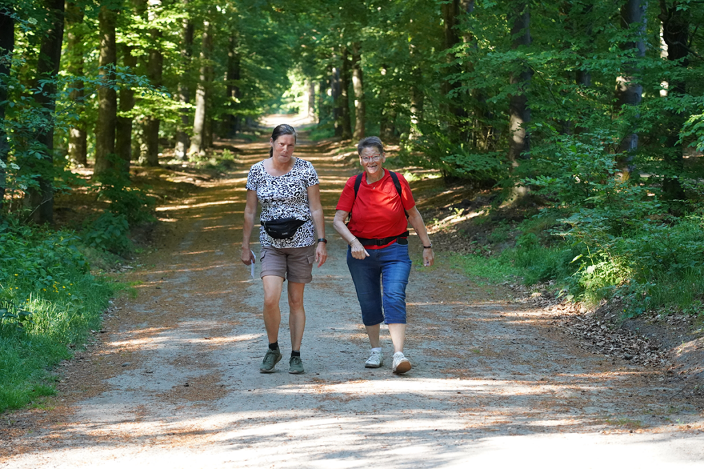 250520 Avond4Daagse Heerde_0238